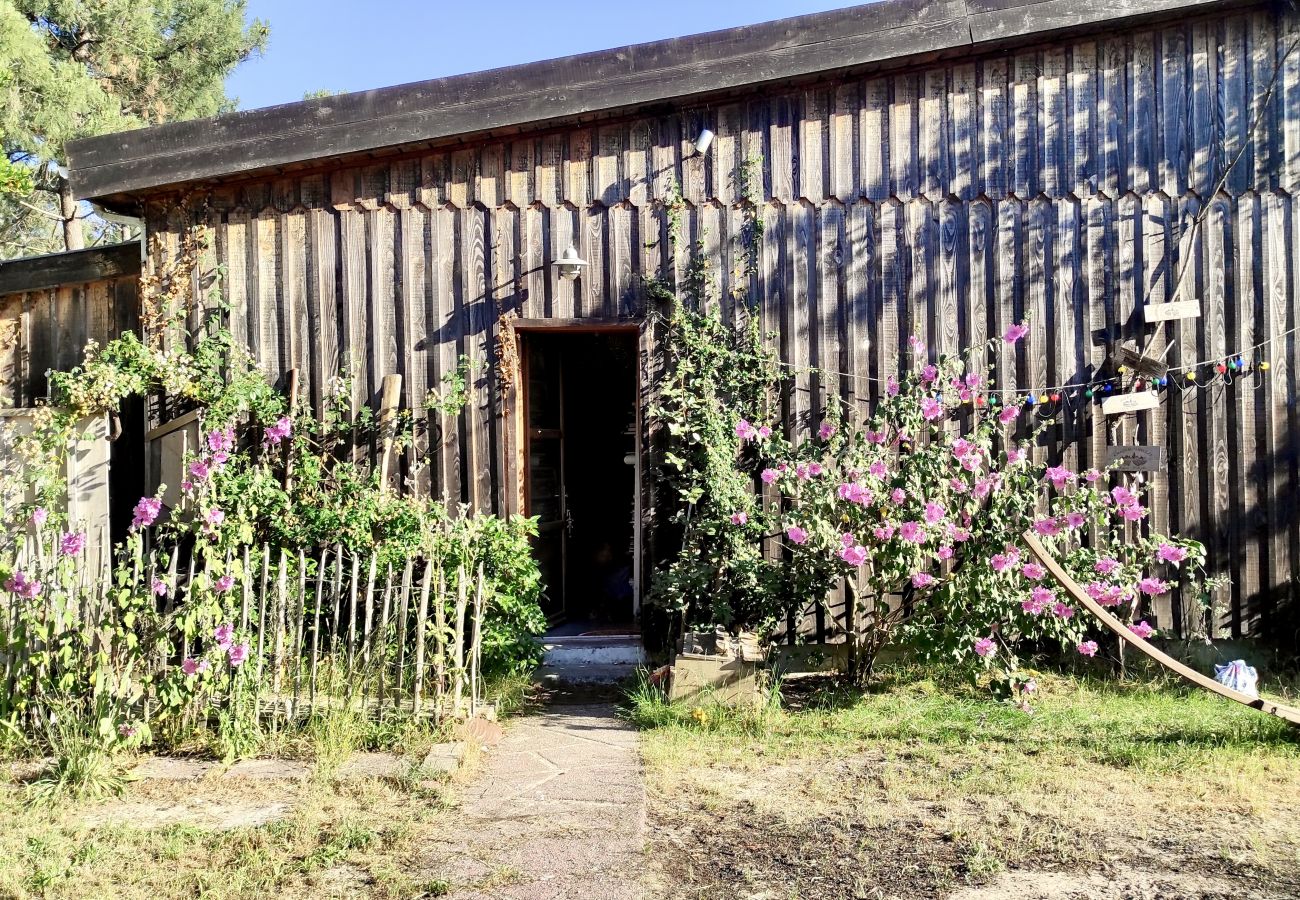 House in Lacanau - MESANGE